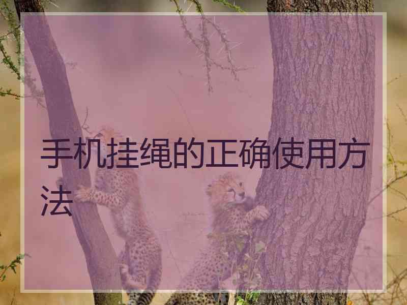 手机挂绳的正确使用方法