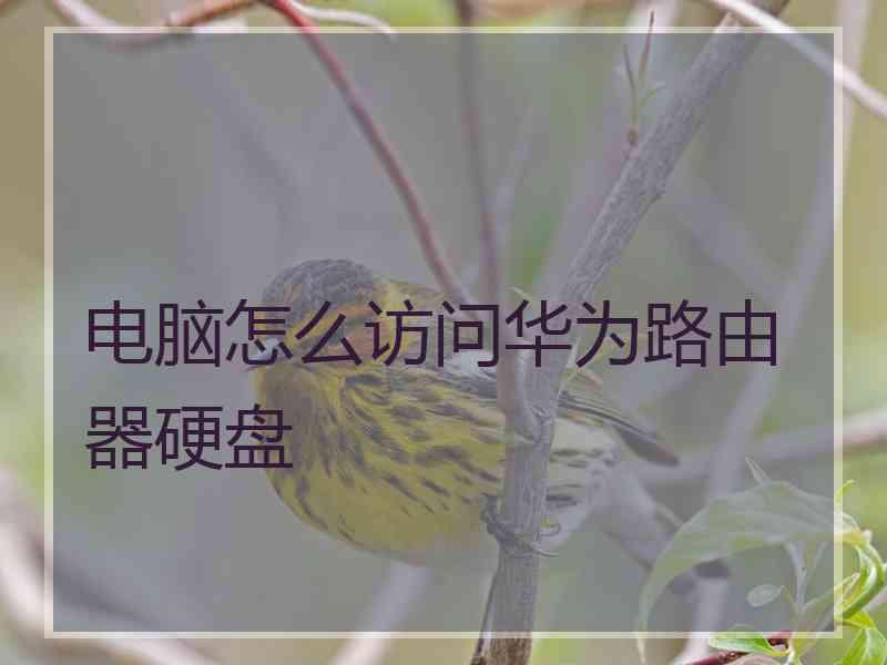 电脑怎么访问华为路由器硬盘