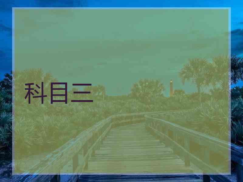 科目三