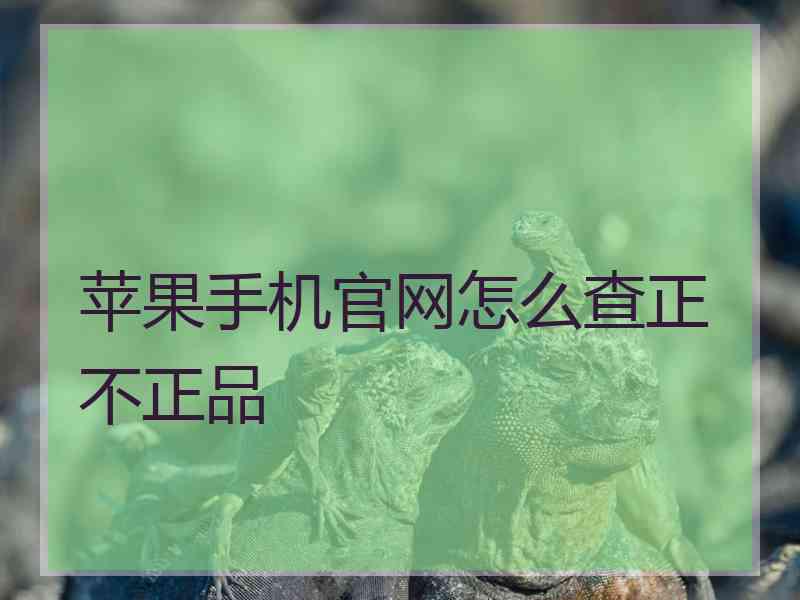 苹果手机官网怎么查正不正品