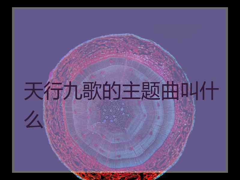 天行九歌的主题曲叫什么