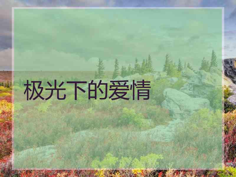 极光下的爱情