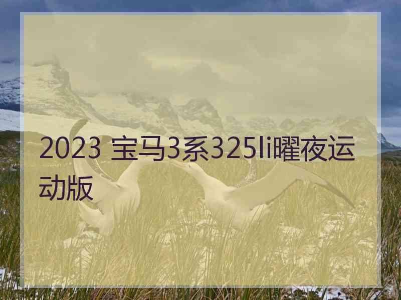2023 宝马3系325li曜夜运动版