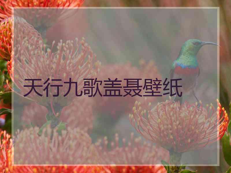 天行九歌盖聂壁纸