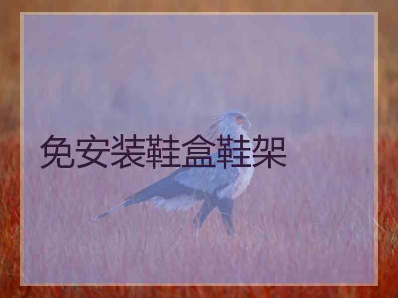 免安装鞋盒鞋架