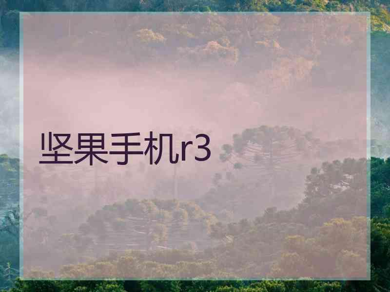 坚果手机r3