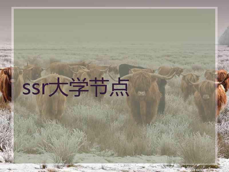 ssr大学节点
