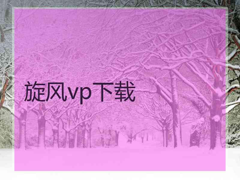 旋风vp下载