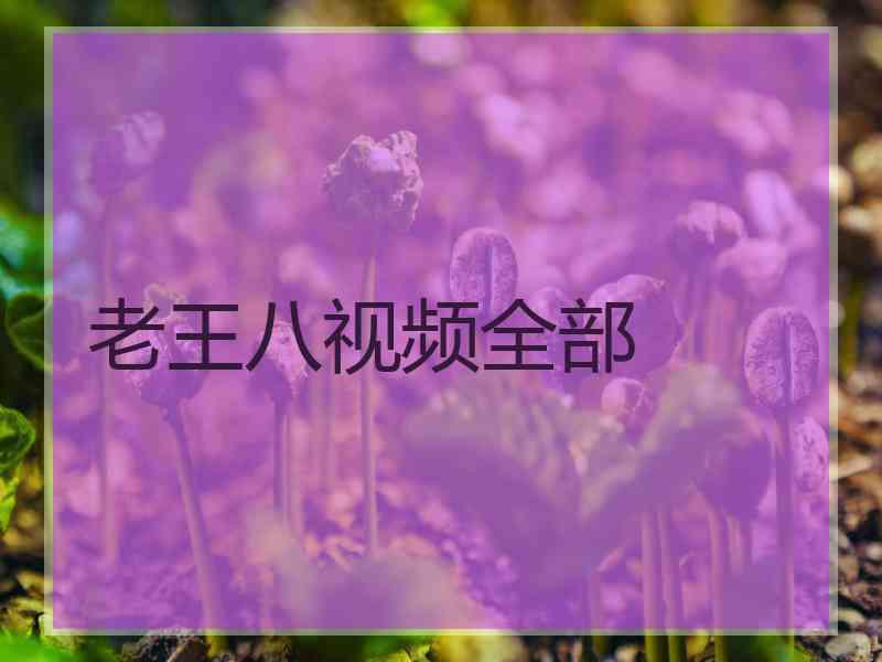 老王八视频全部