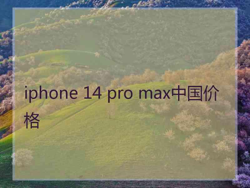iphone 14 pro max中国价格