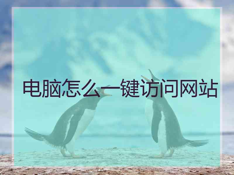电脑怎么一键访问网站