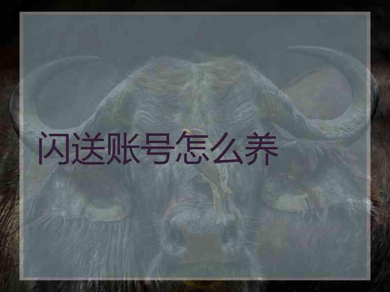 闪送账号怎么养