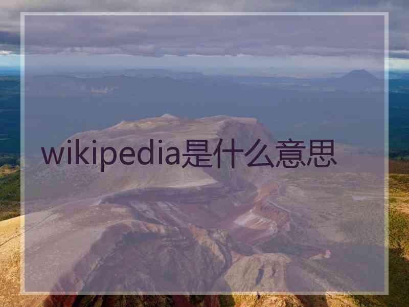 wikipedia是什么意思