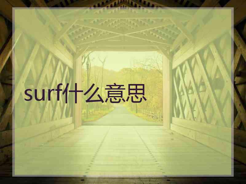 surf什么意思