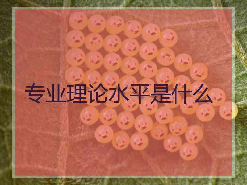 专业理论水平是什么
