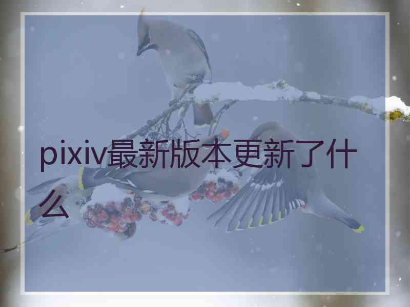 pixiv最新版本更新了什么