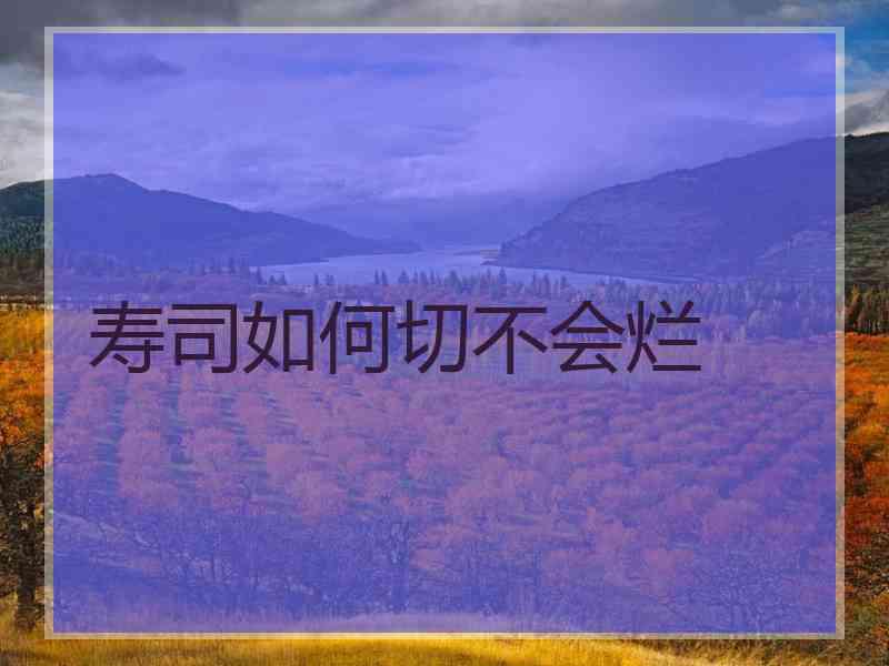 寿司如何切不会烂