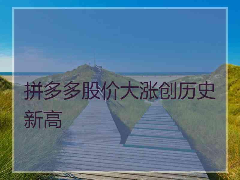拼多多股价大涨创历史新高