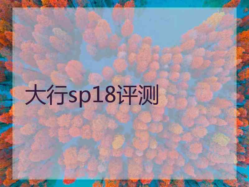 大行sp18评测
