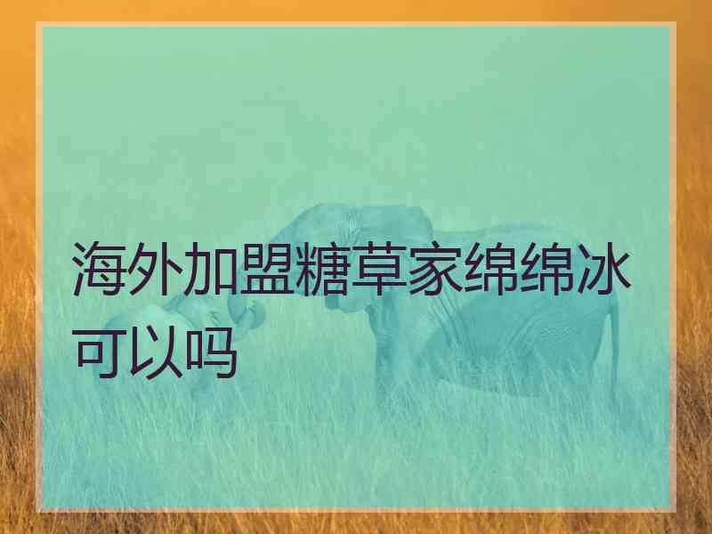 海外加盟糖草家绵绵冰可以吗