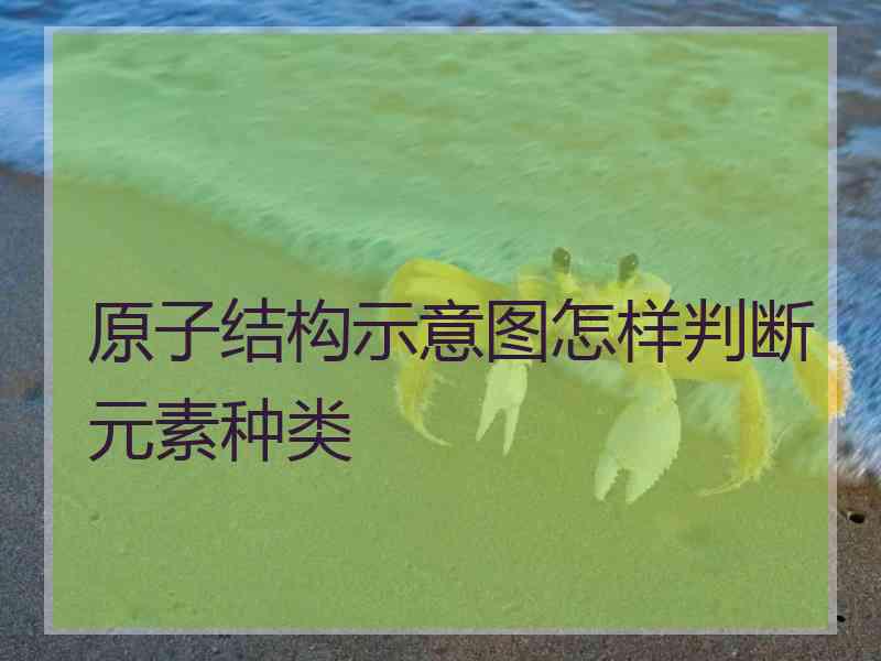 原子结构示意图怎样判断元素种类
