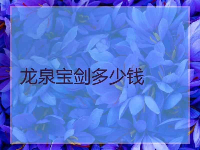 龙泉宝剑多少钱
