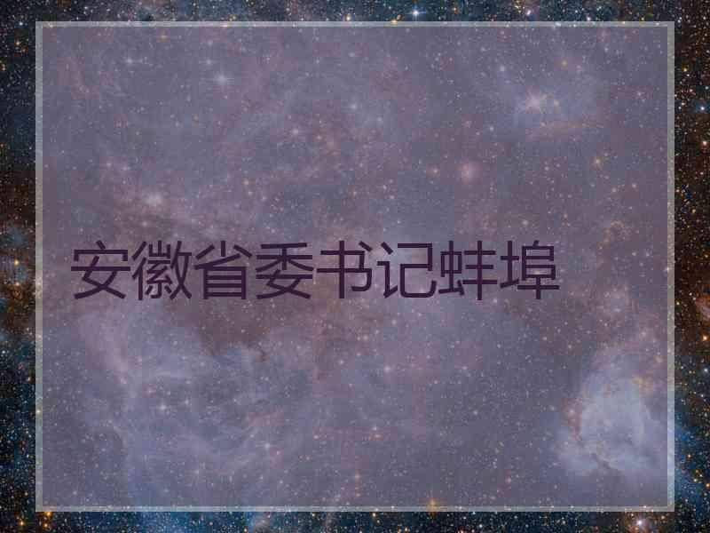 安徽省委书记蚌埠
