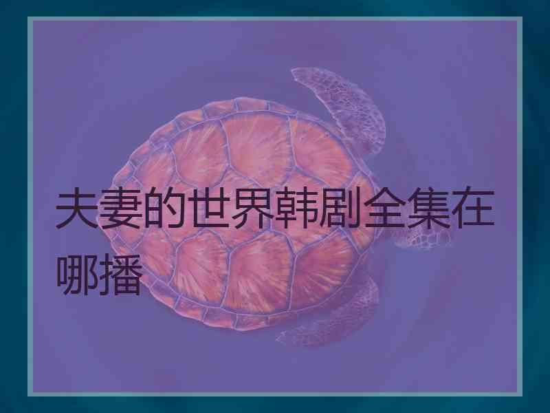 夫妻的世界韩剧全集在哪播