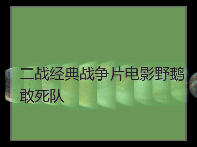 二战经典战争片电影野鹅敢死队