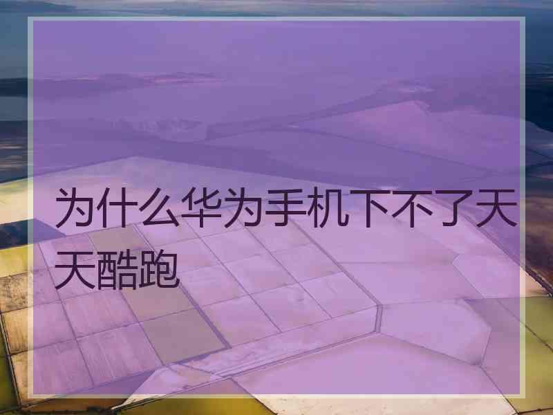 为什么华为手机下不了天天酷跑