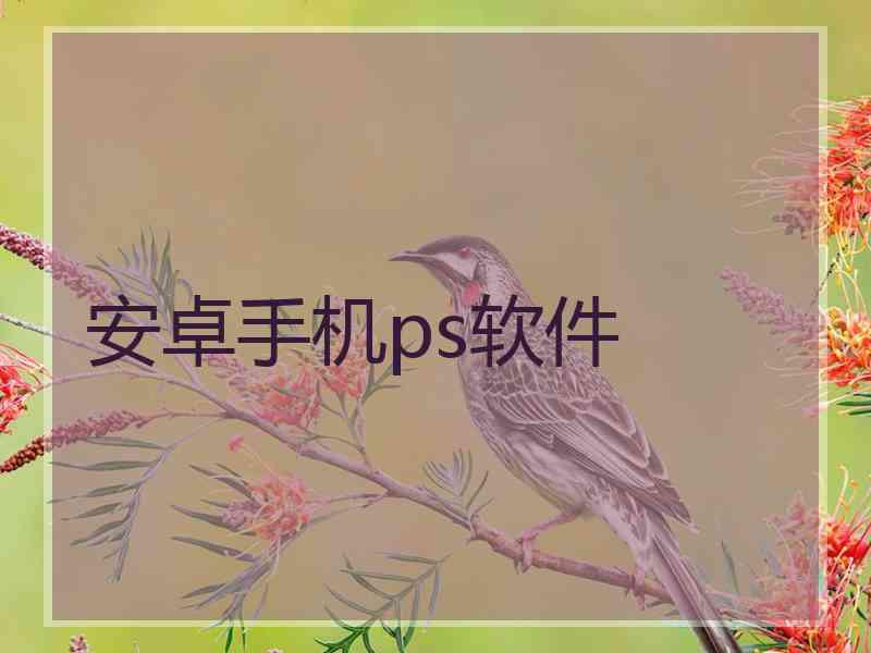 安卓手机ps软件