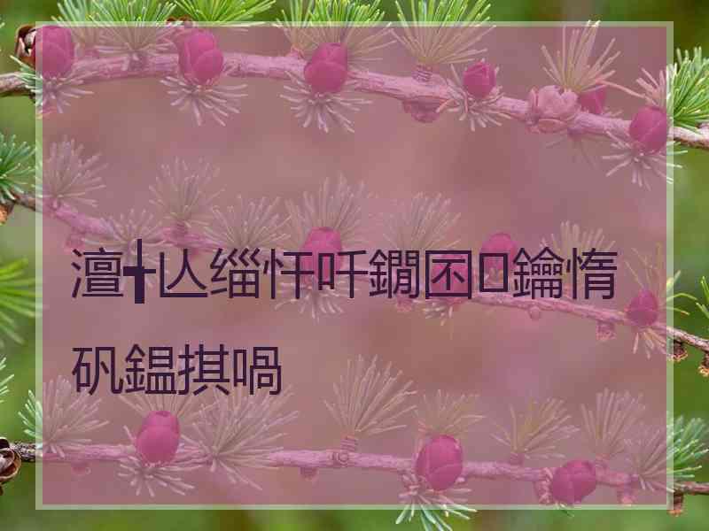 澶╅亾缁忓吀鐗囨鑰惰矾鎾掑喎