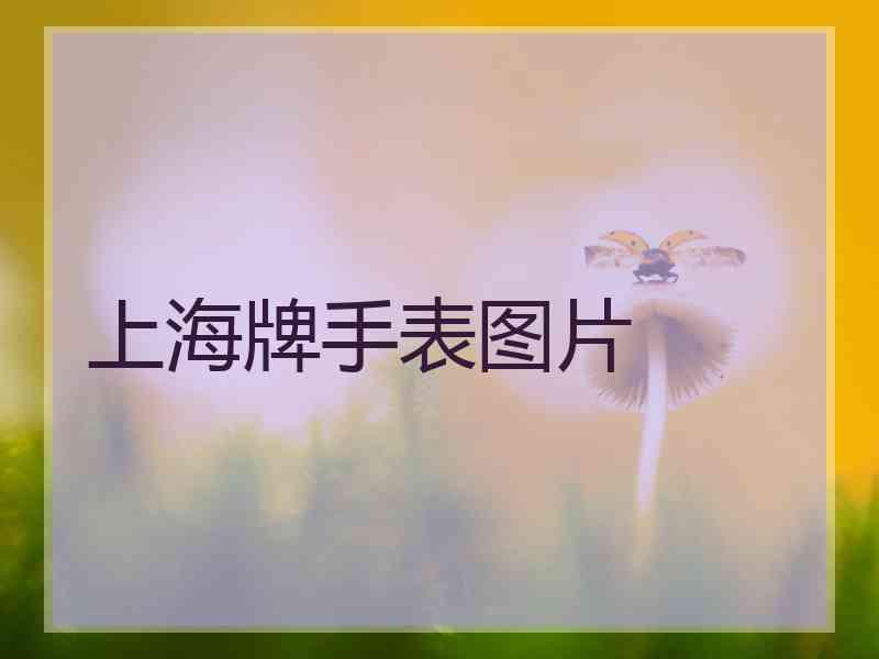 上海牌手表图片