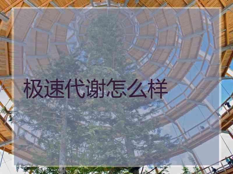 极速代谢怎么样