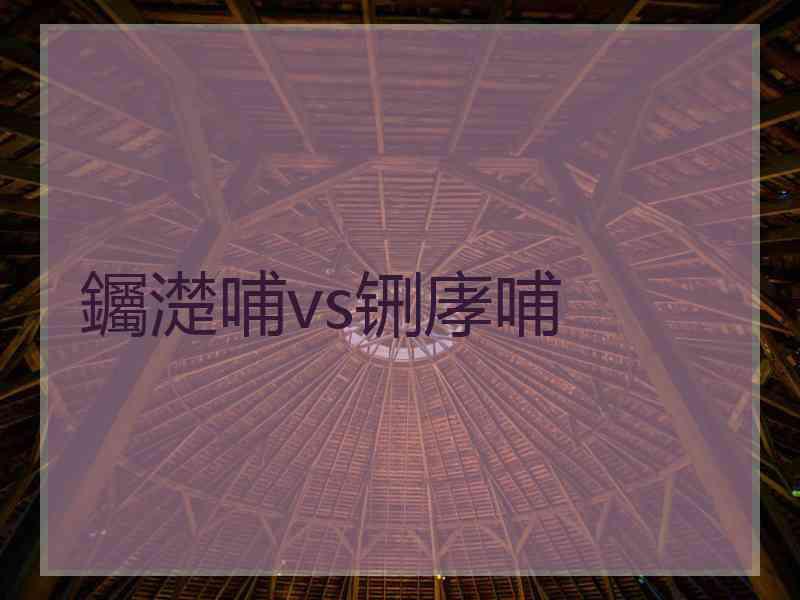 钃濋哺vs铏庨哺