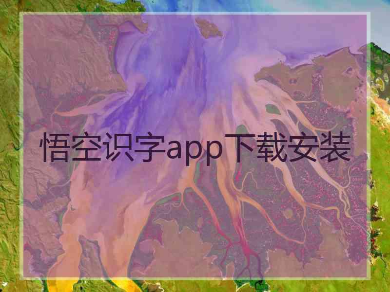 悟空识字app下载安装