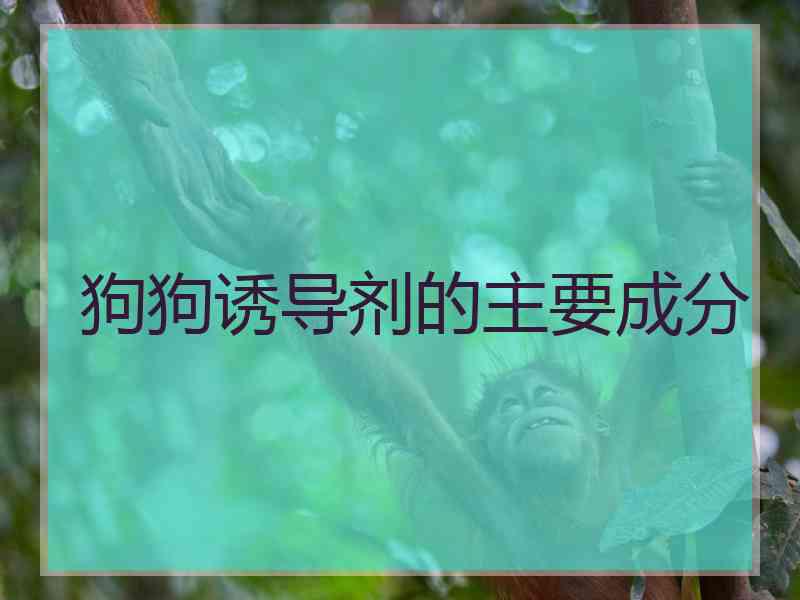 狗狗诱导剂的主要成分