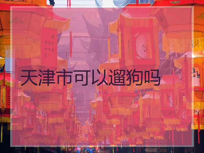 天津市可以遛狗吗