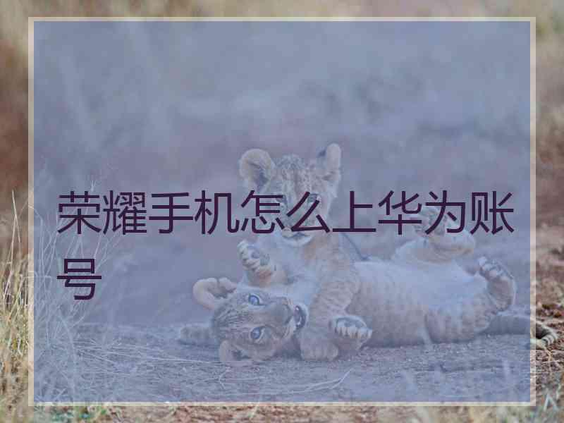 荣耀手机怎么上华为账号