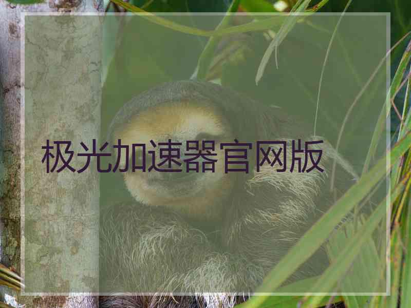 极光加速器官网版
