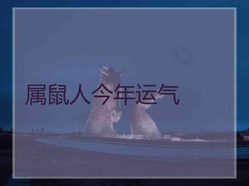 属鼠人今年运气