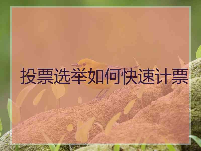 投票选举如何快速计票
