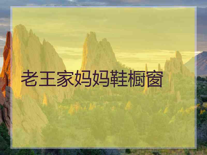 老王家妈妈鞋橱窗