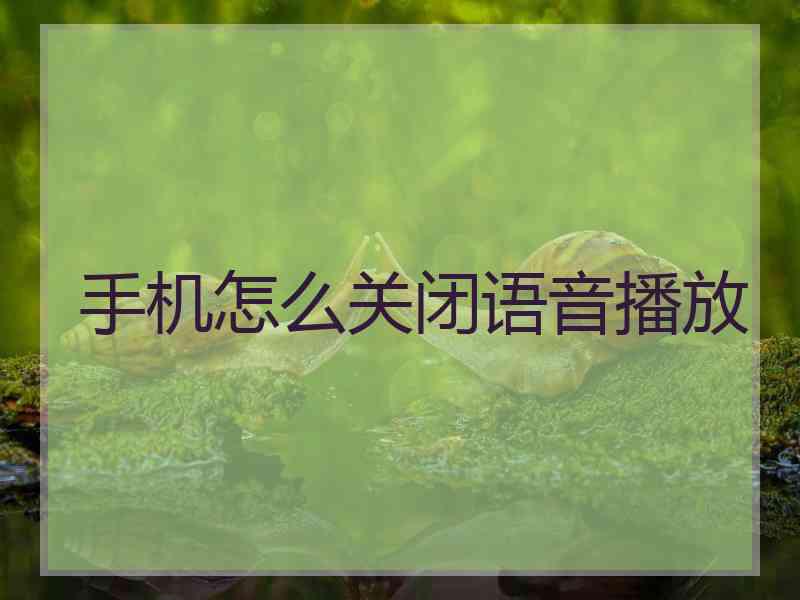 手机怎么关闭语音播放