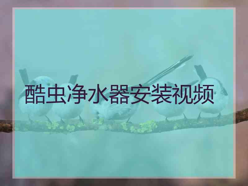 酷虫净水器安装视频