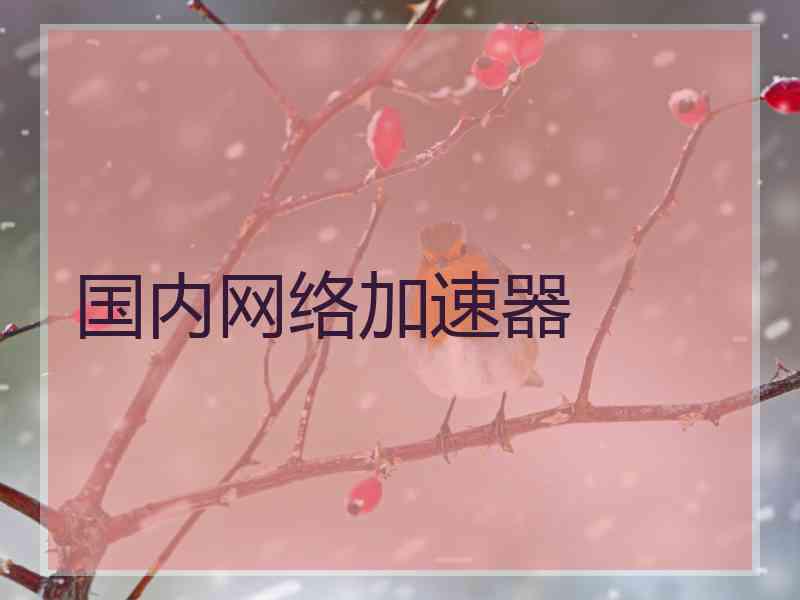 国内网络加速器