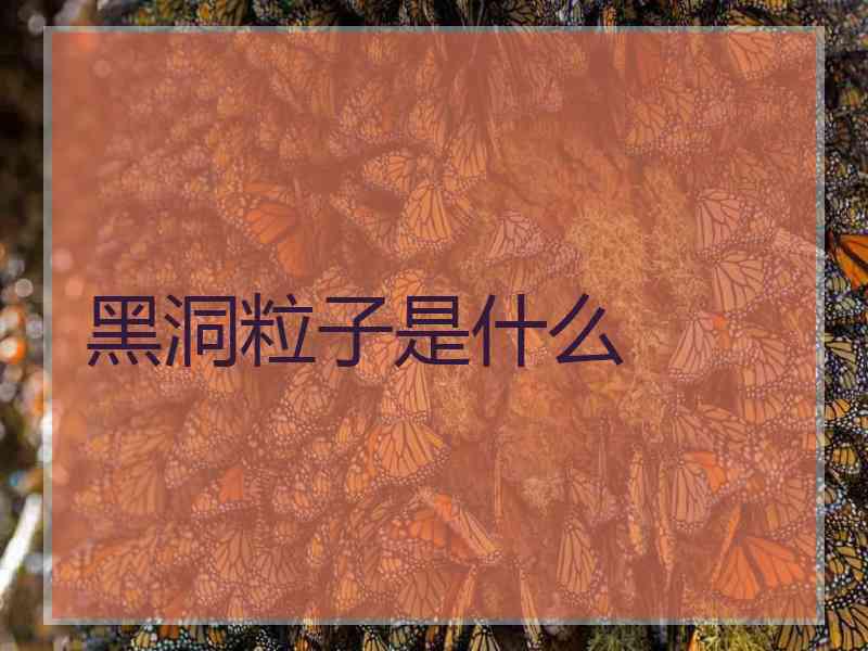 黑洞粒子是什么