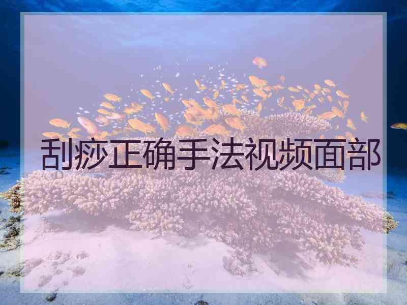 刮痧正确手法视频面部