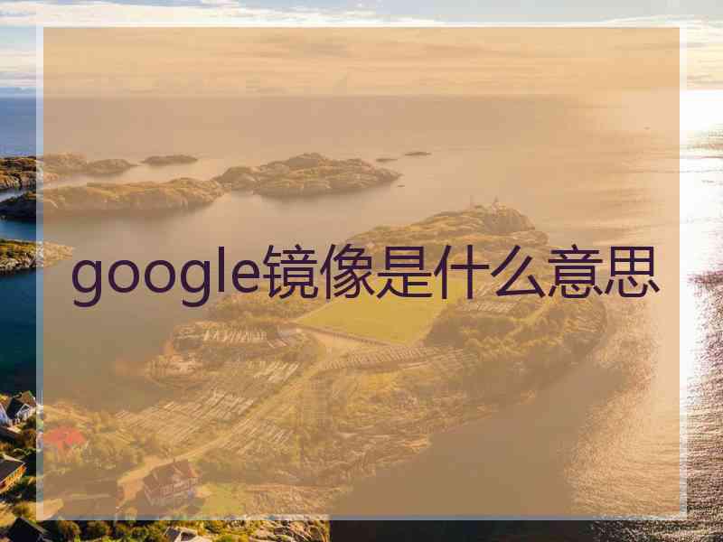 google镜像是什么意思
