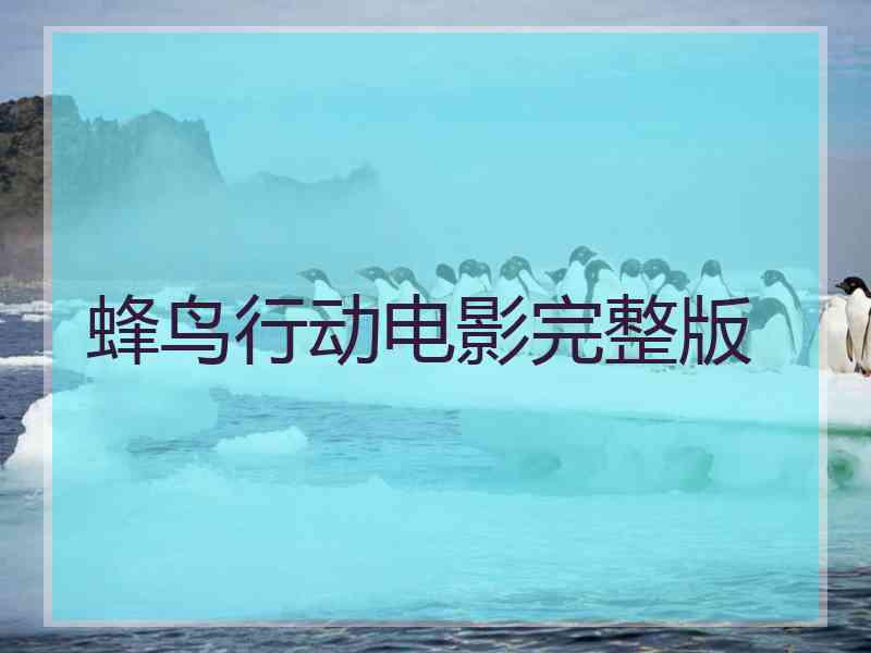 蜂鸟行动电影完整版